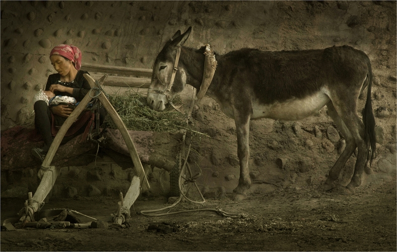 720 - JEHIEL - WAN YI - china.jpg